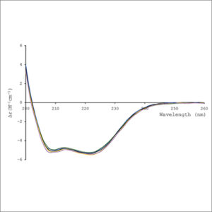 CD2-300x300