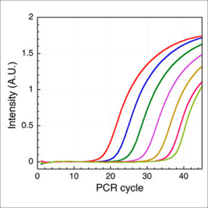 PCR1-300x300