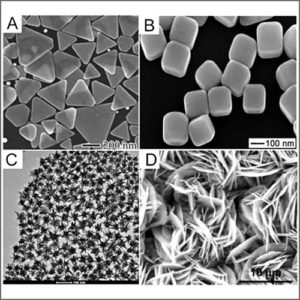 SEM2-300x300 (2)