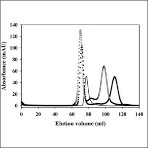 Size-Exclusion-Chromatography1-300x300