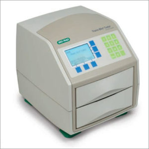 WB2-300x300